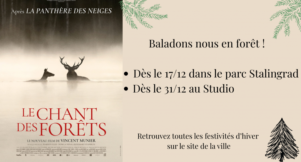 actualité le chant des forêts